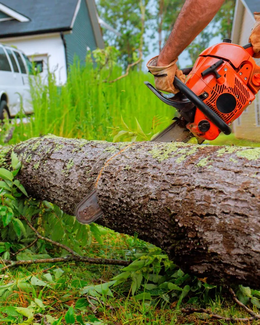 Crew member cutting a fallen trunk into sections in a front yard
