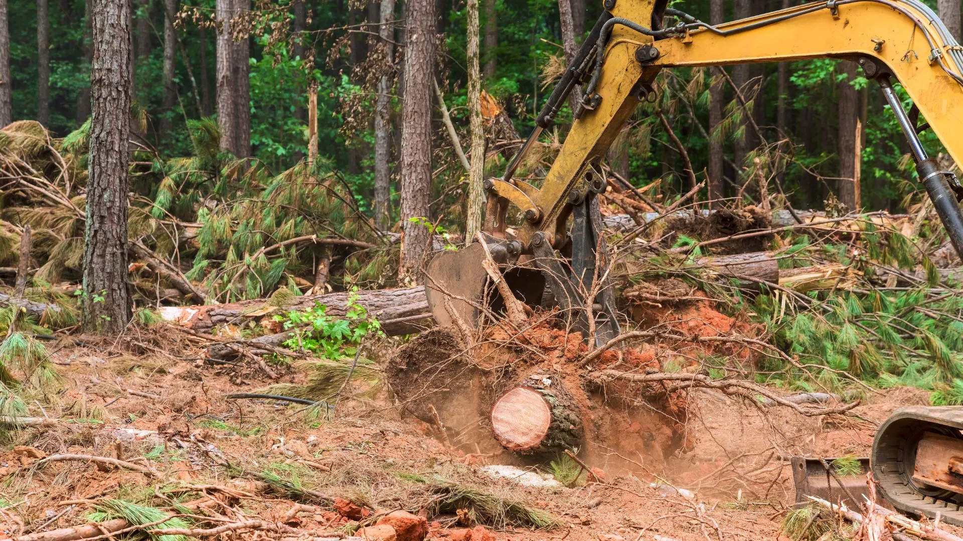 Excavator pulling a stump while clearing a wooded lot
