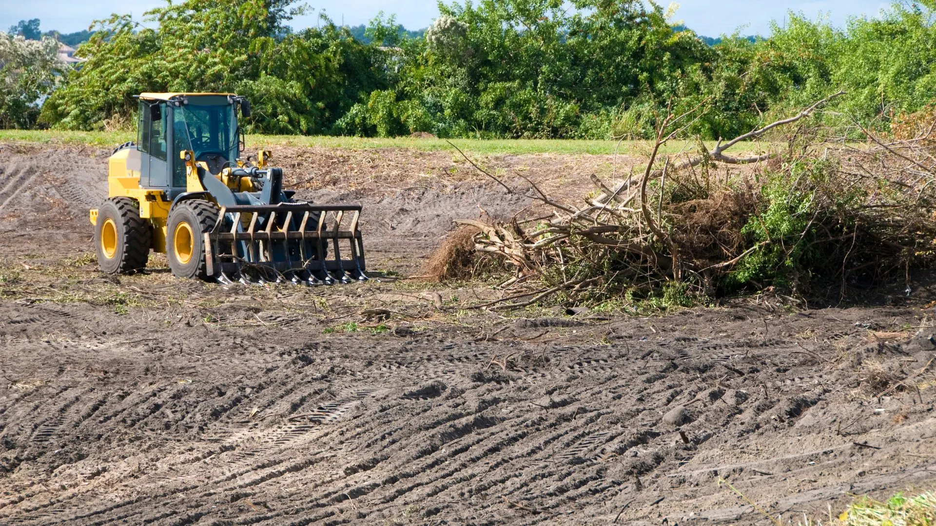 Loader clearing brush on a wooded lot in Washington County