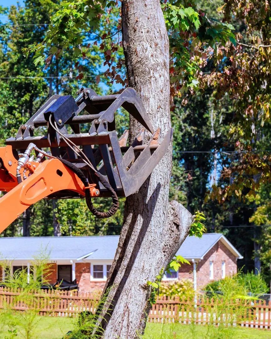 Grapple loader carrying a cut trunk away from a house during tree removal